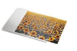 Esselte Mousepad transparent