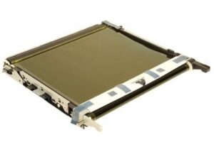 Transfer Belt
