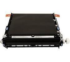 Intermediate Transfer Belt